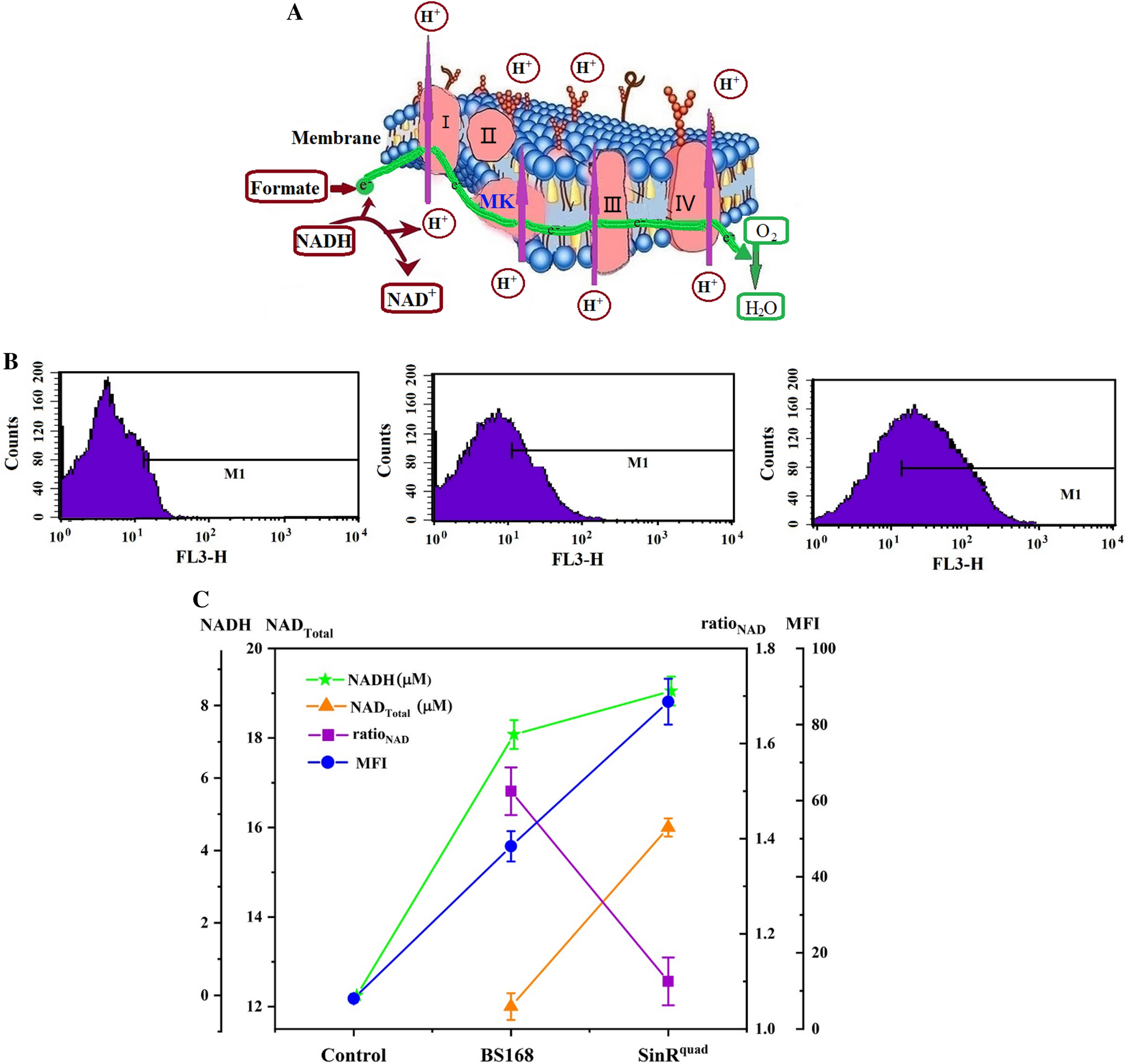 Fig. 9