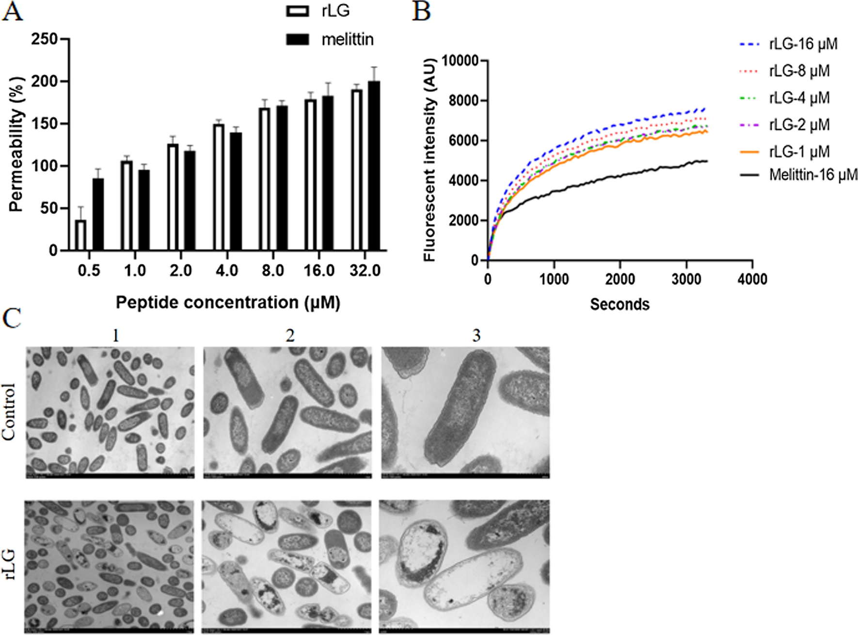 Fig. 6