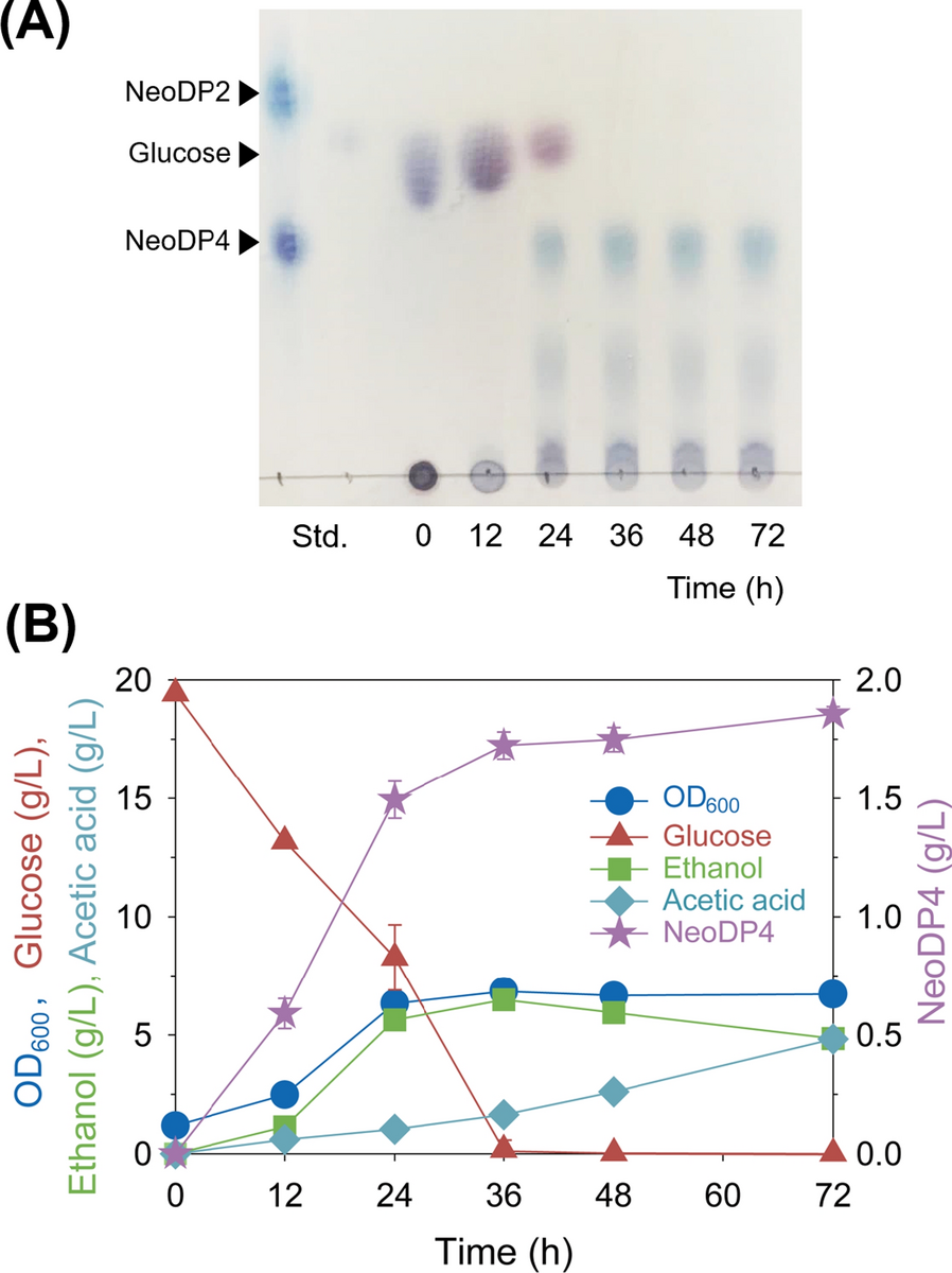 Fig. 4