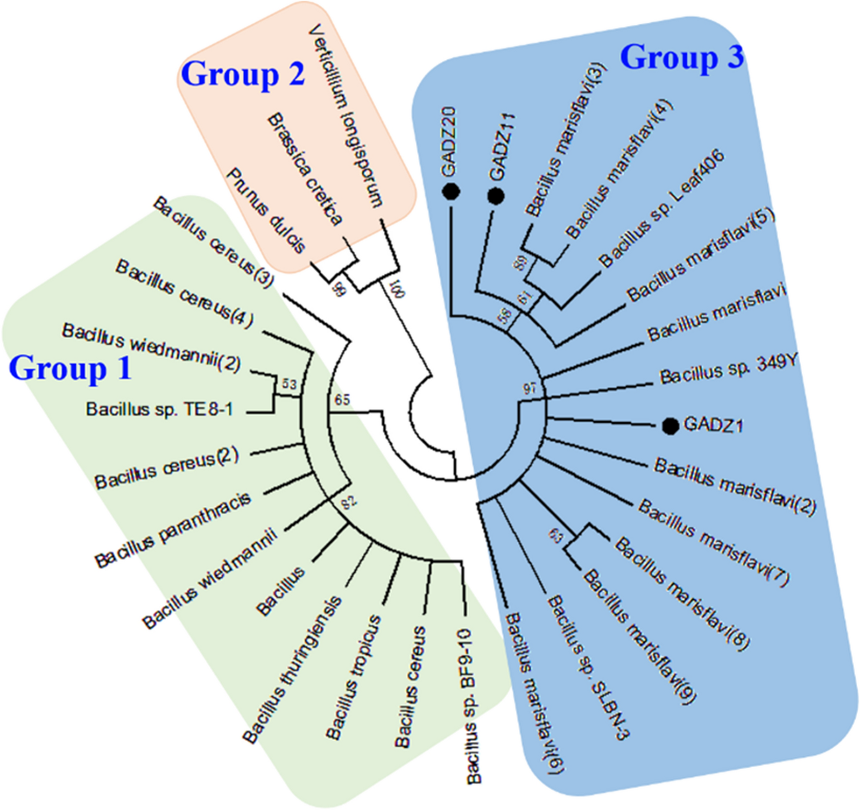 Fig. 2