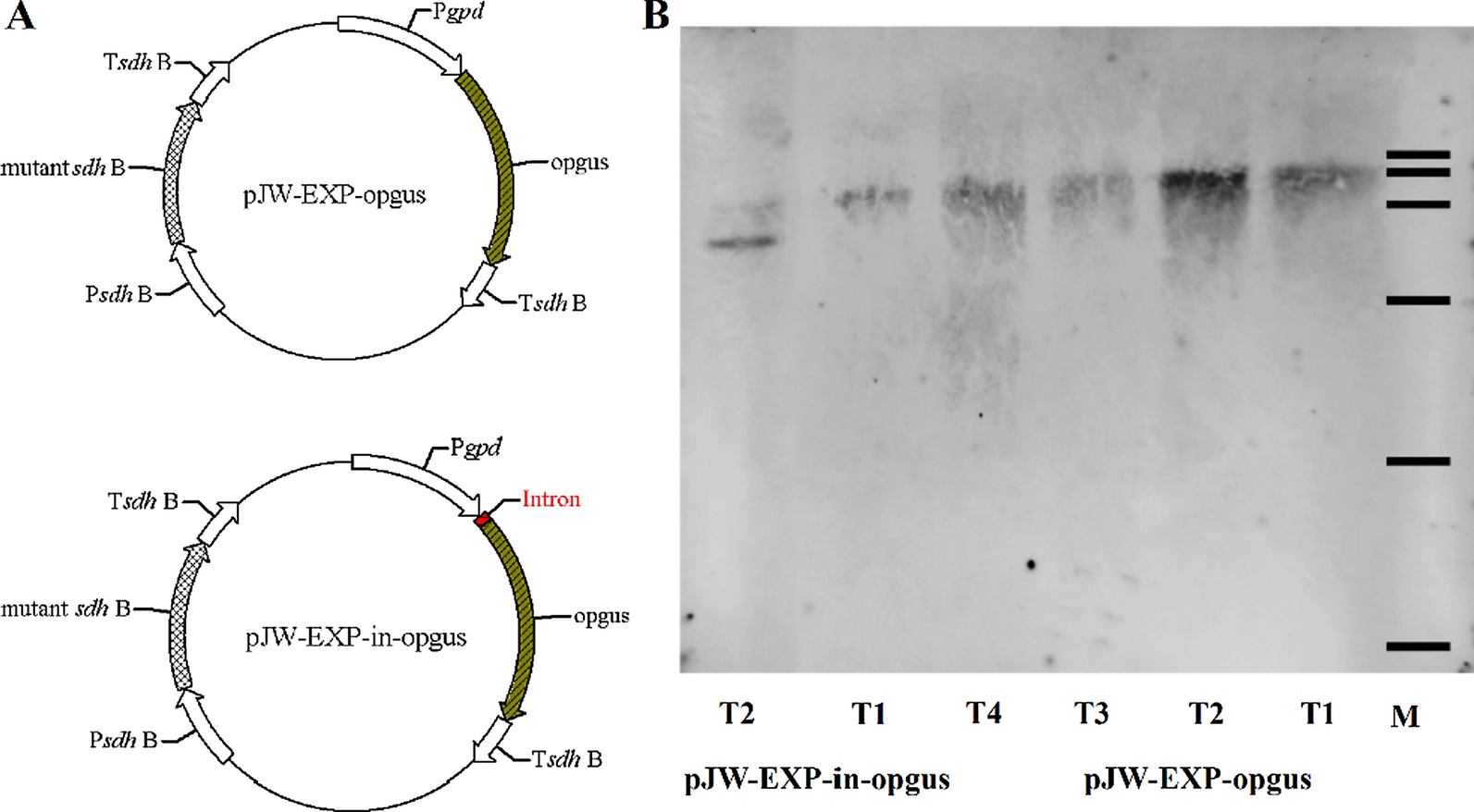 Fig. 5