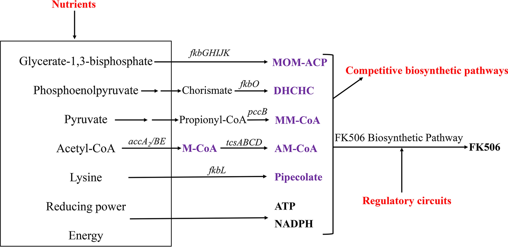 Fig. 1