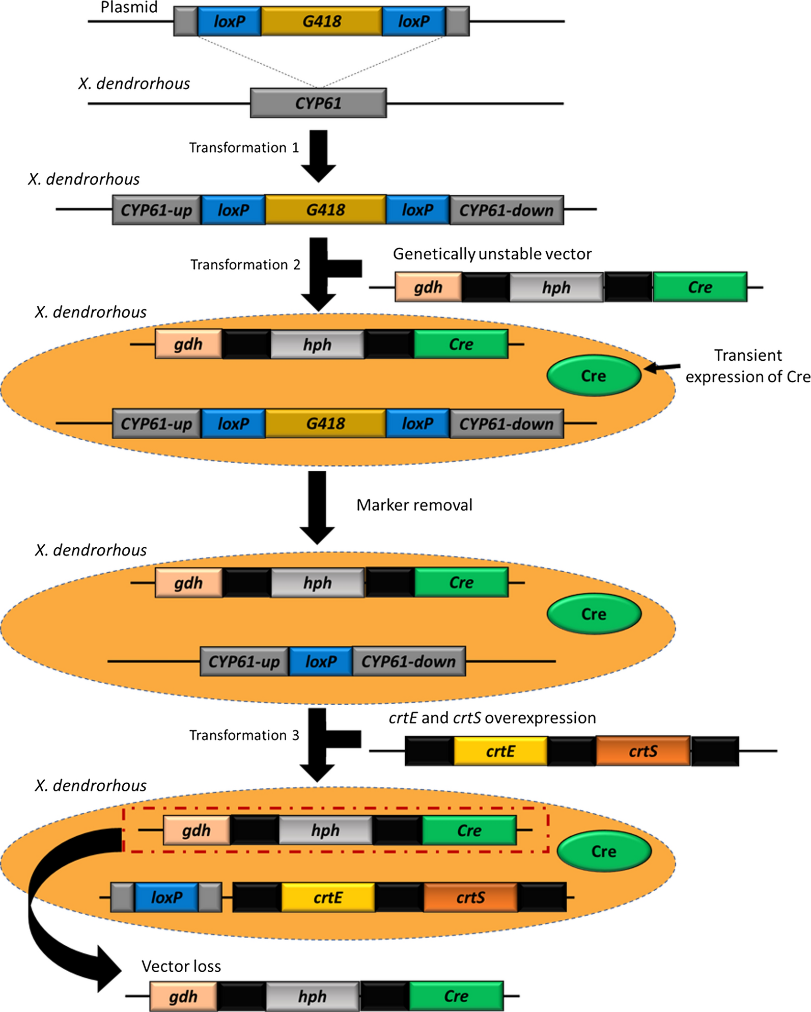 Fig. 3