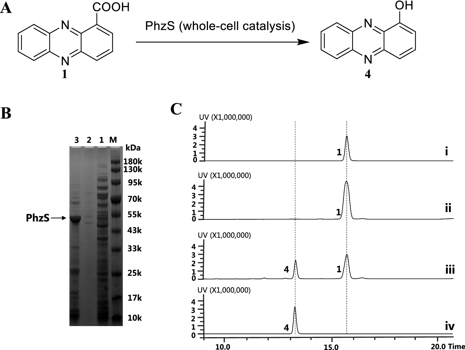 Fig. 3