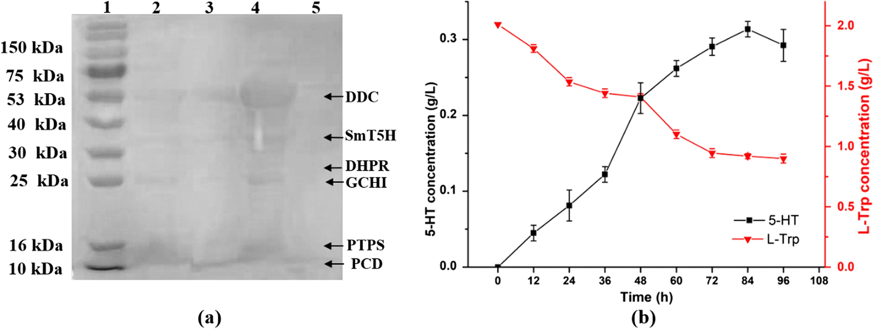 Fig. 4