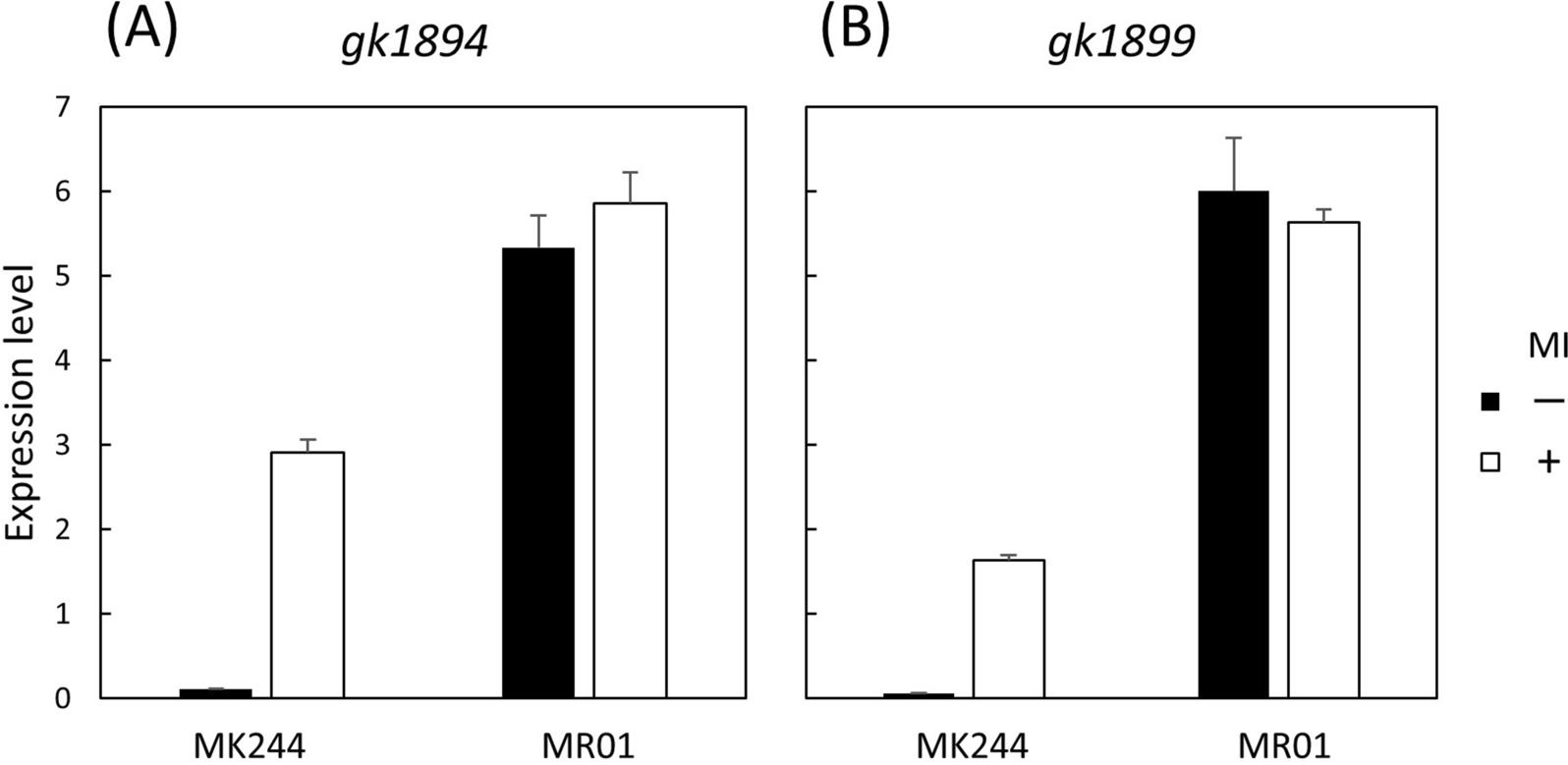 Fig. 4