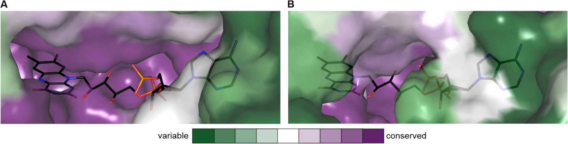 Fig. 4