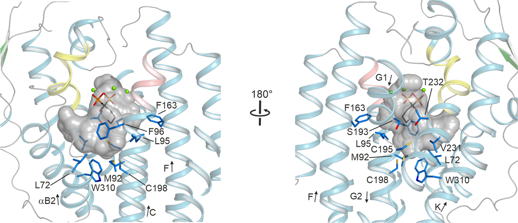 Fig. 4