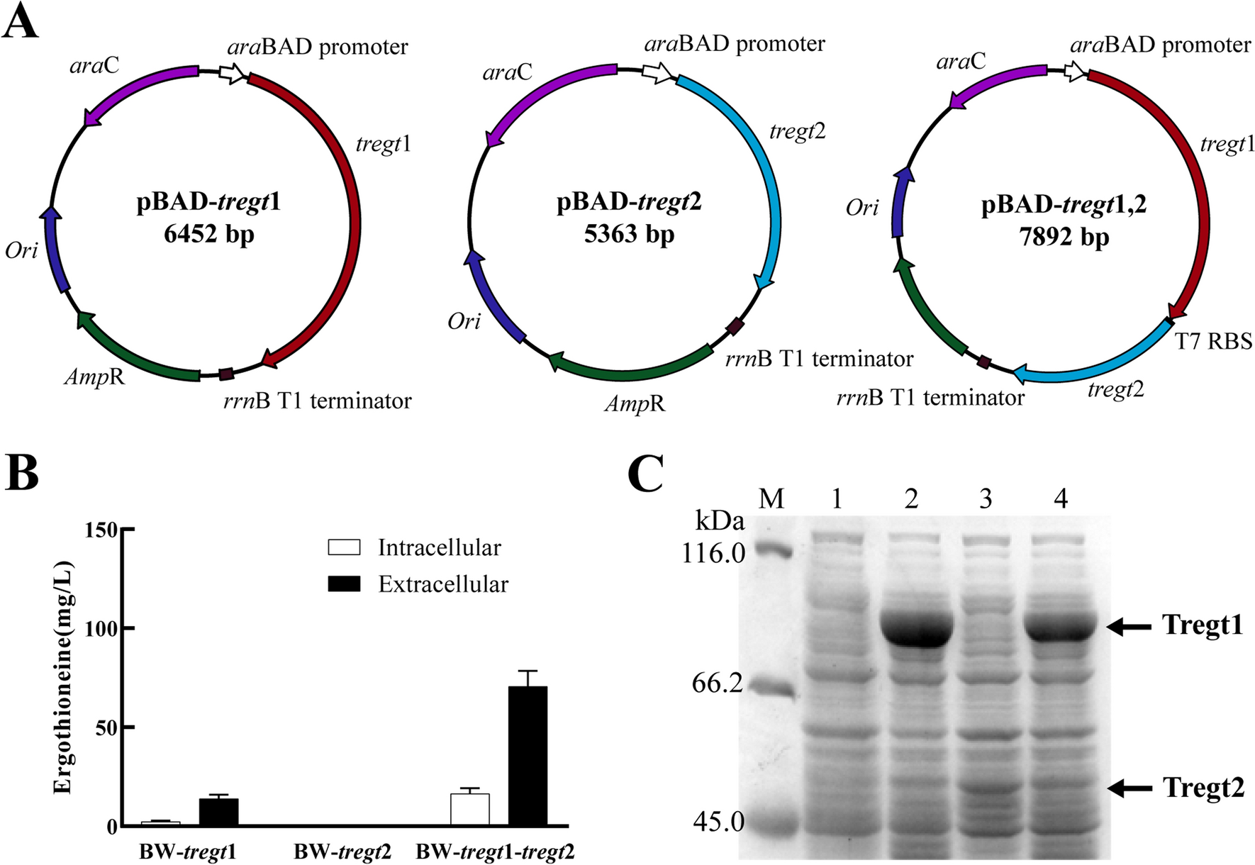 Fig. 3