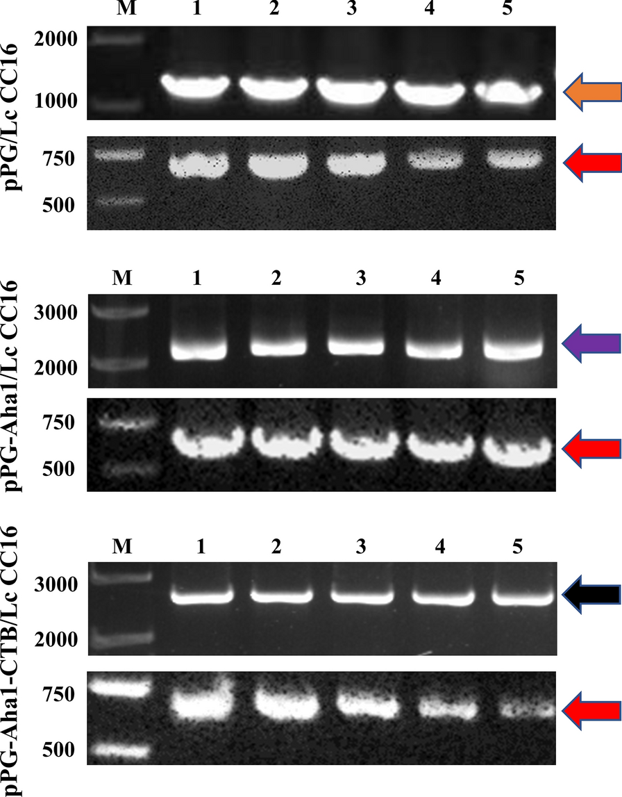 Fig. 12