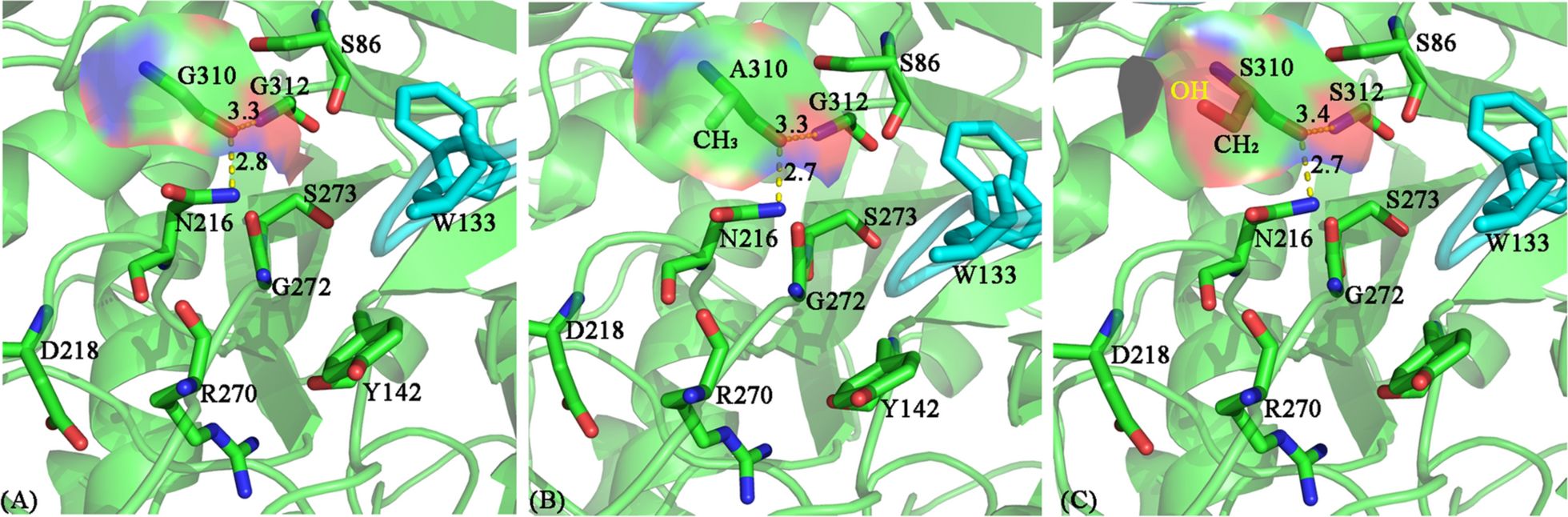 Fig. 7