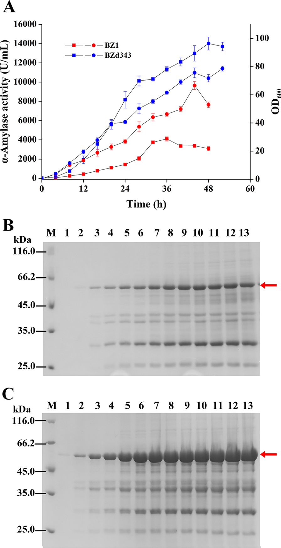 Fig. 7