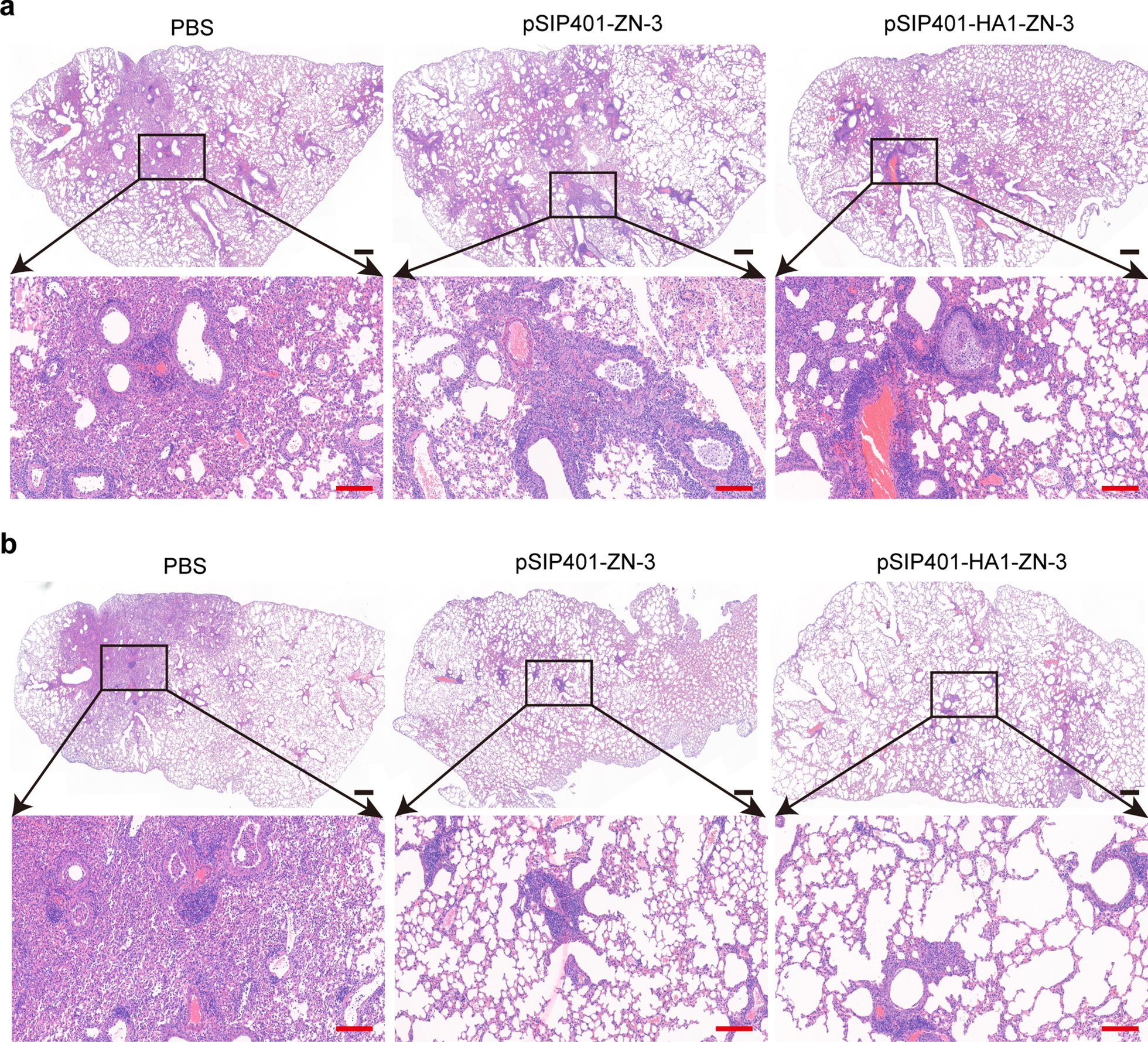 Fig. 11