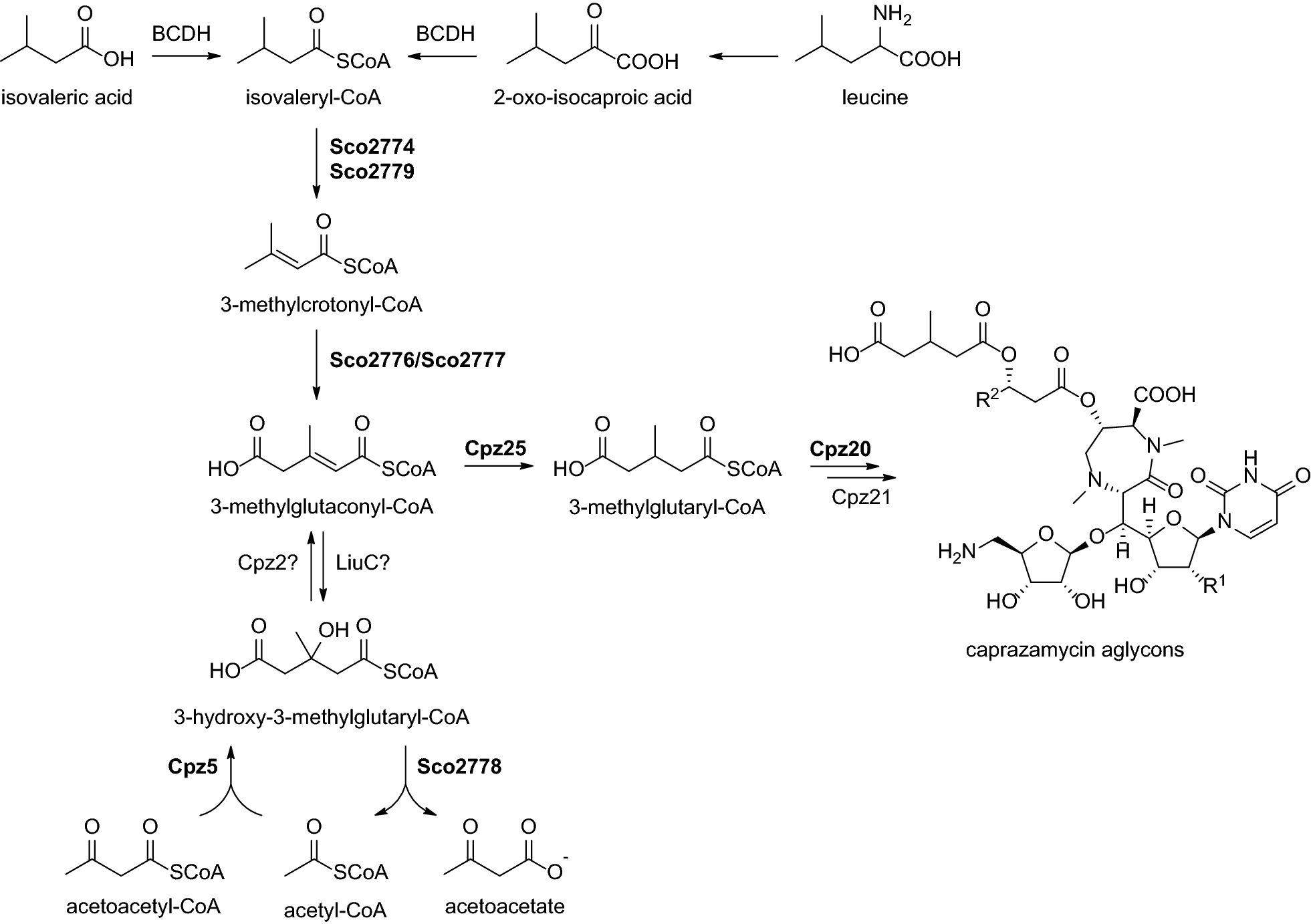 Scheme 1