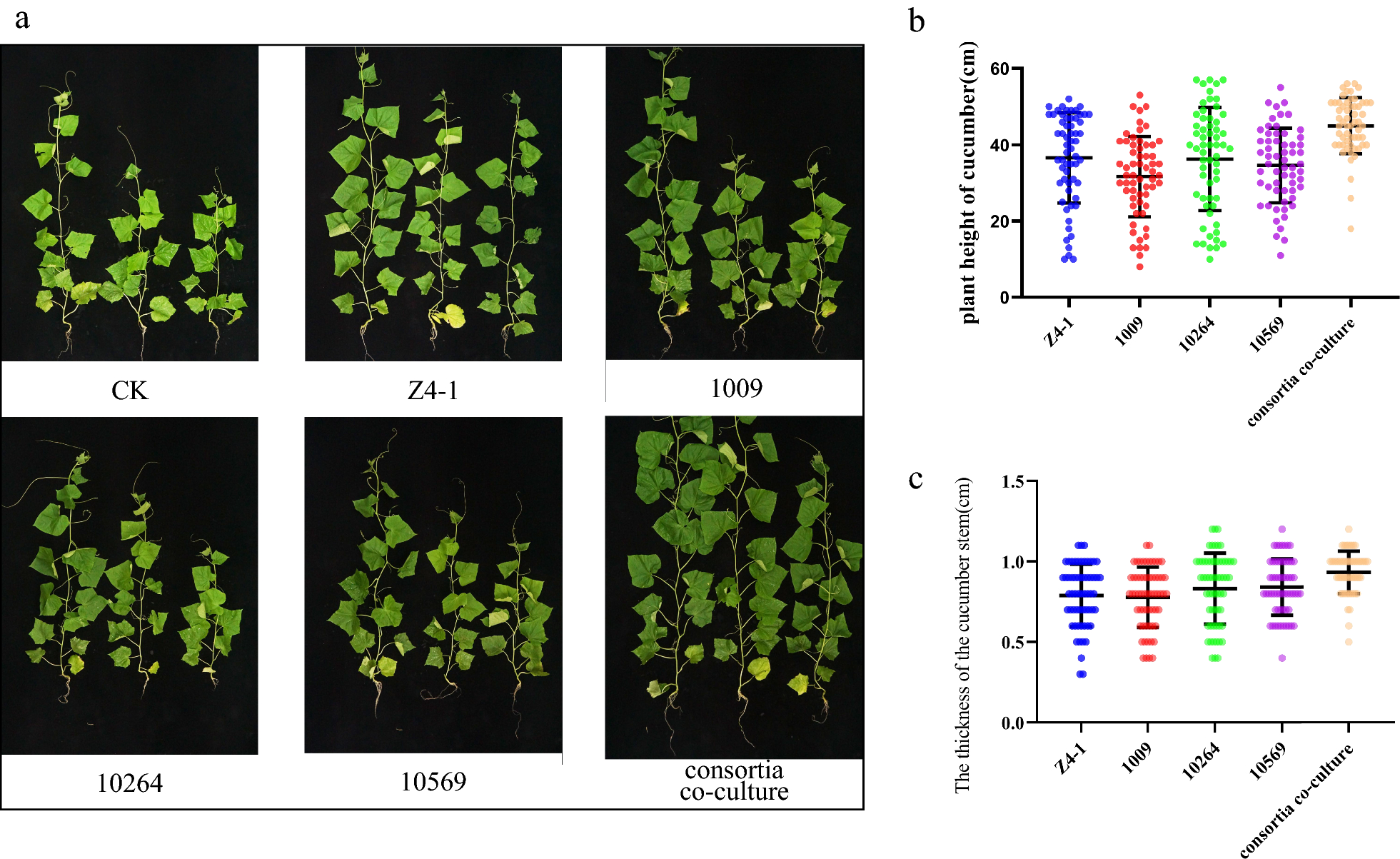 Fig. 11