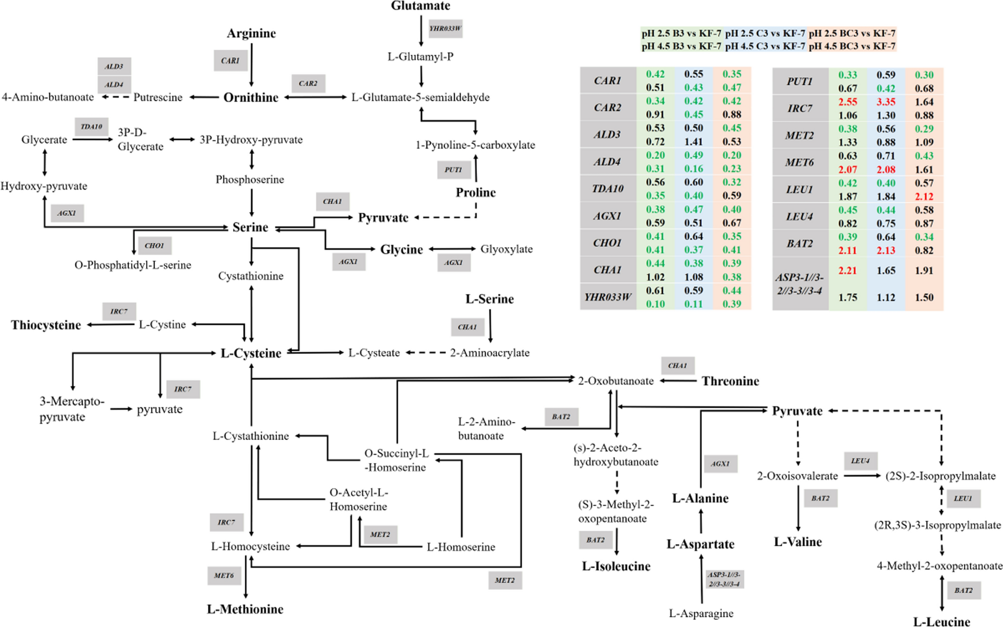 Fig. 6