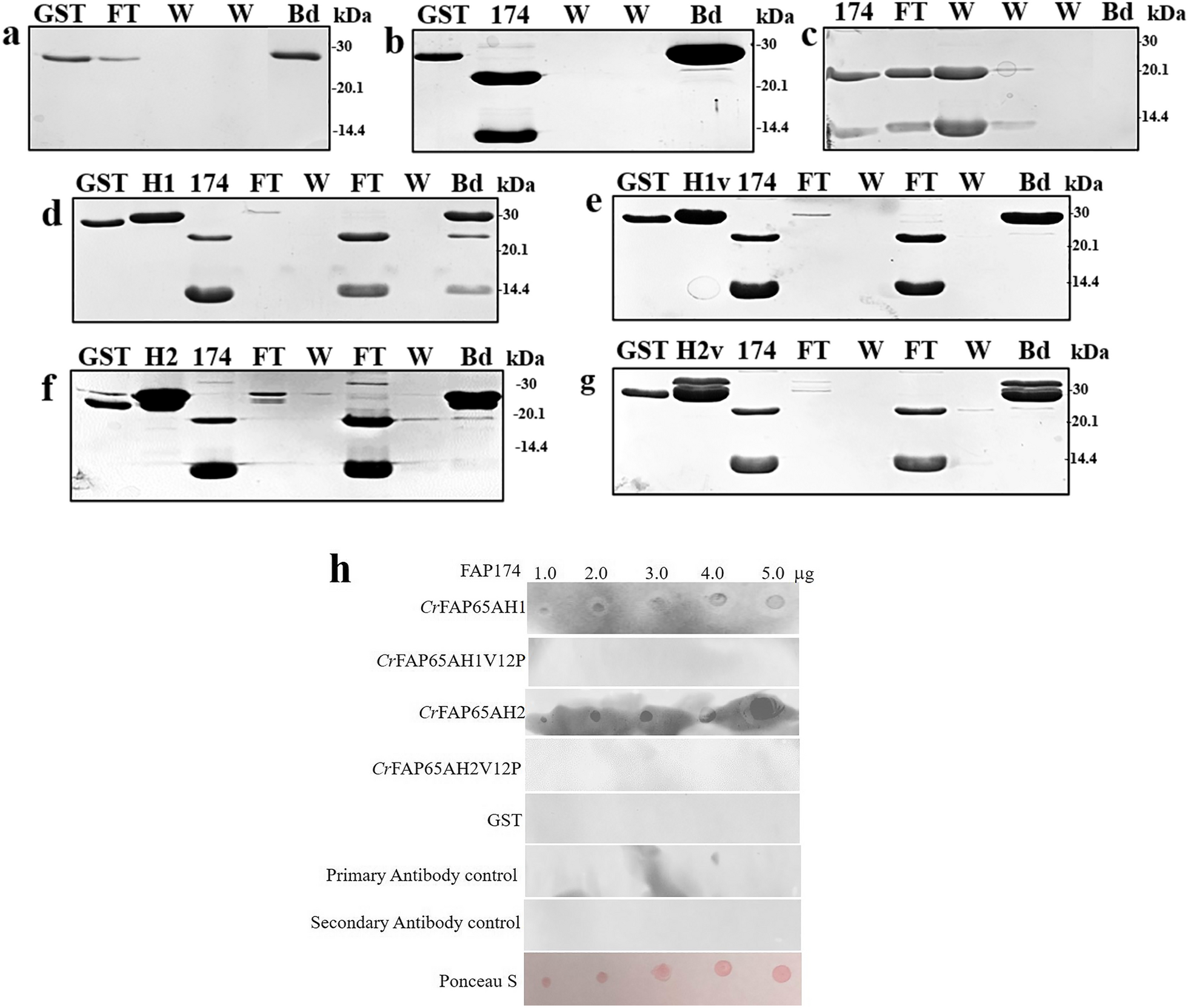 Fig. 8