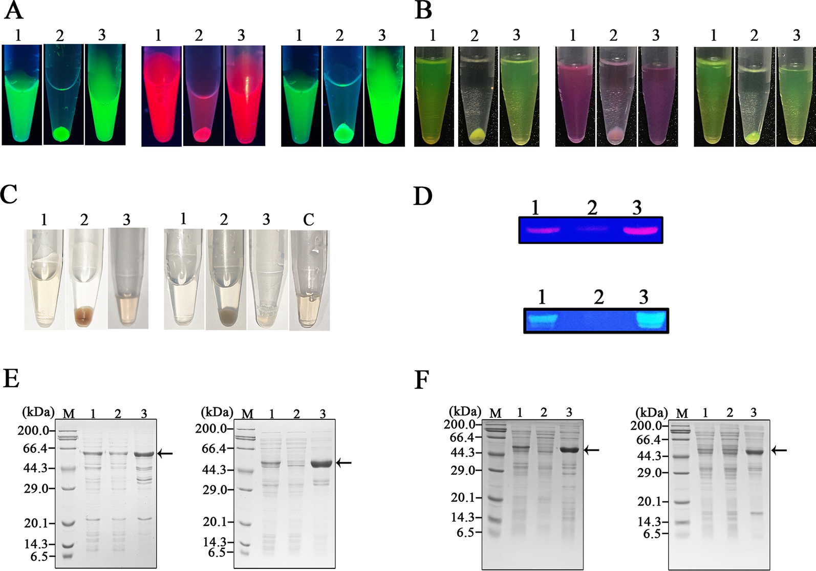 Fig. 4