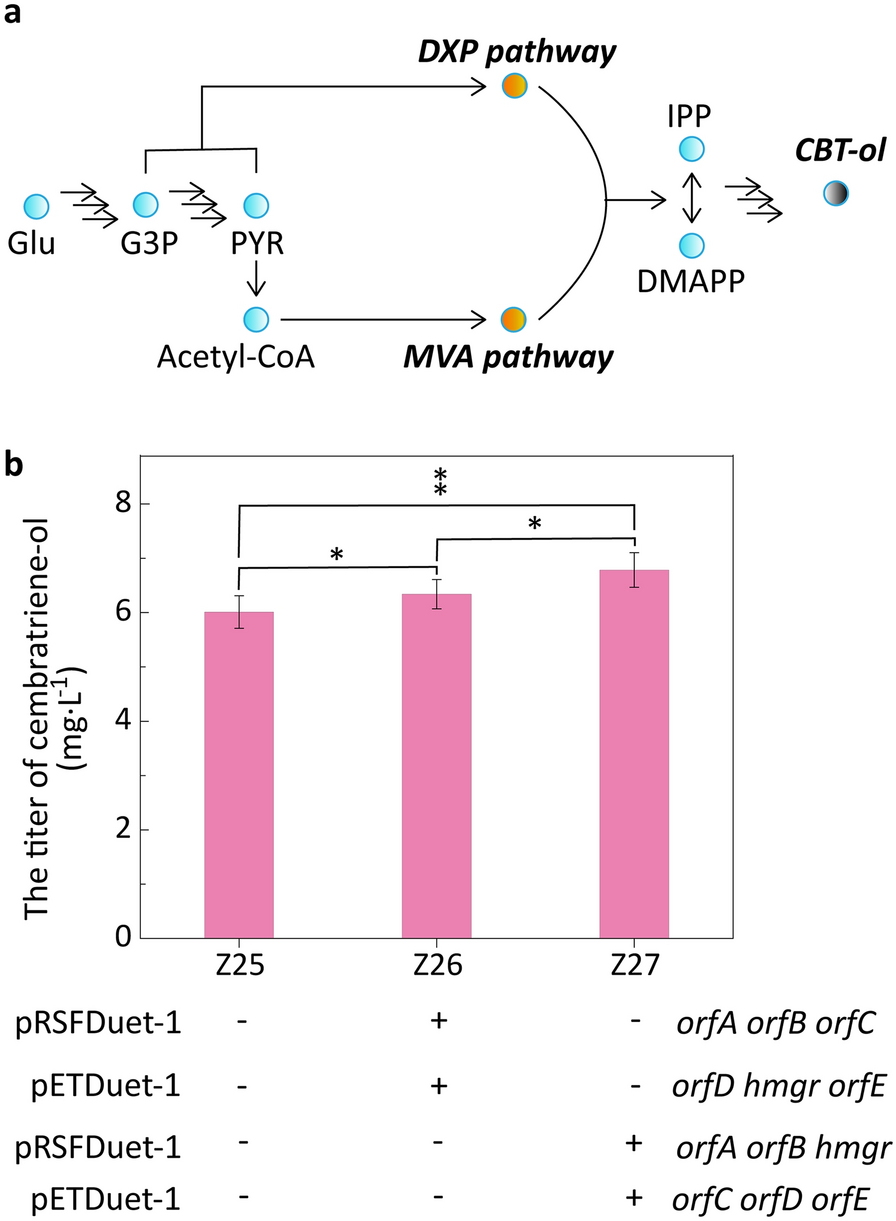 Fig. 4