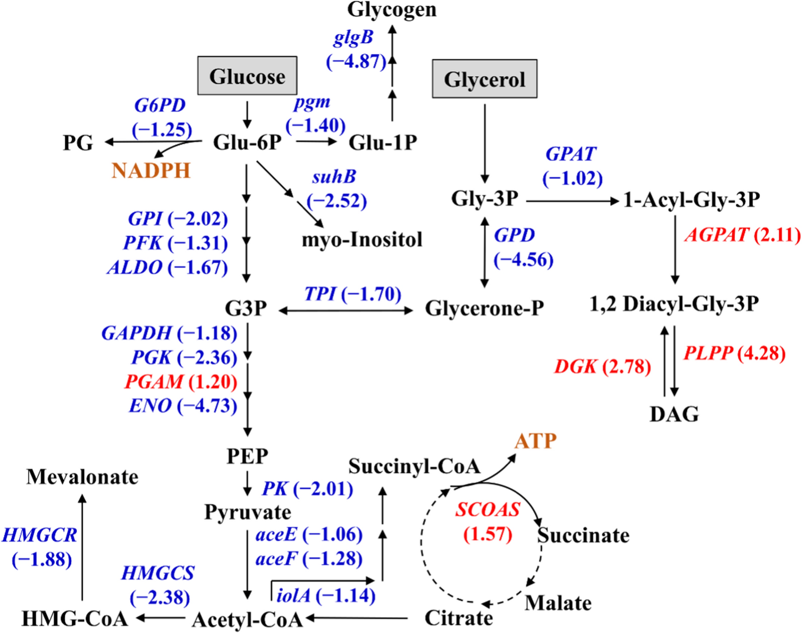 Fig. 2