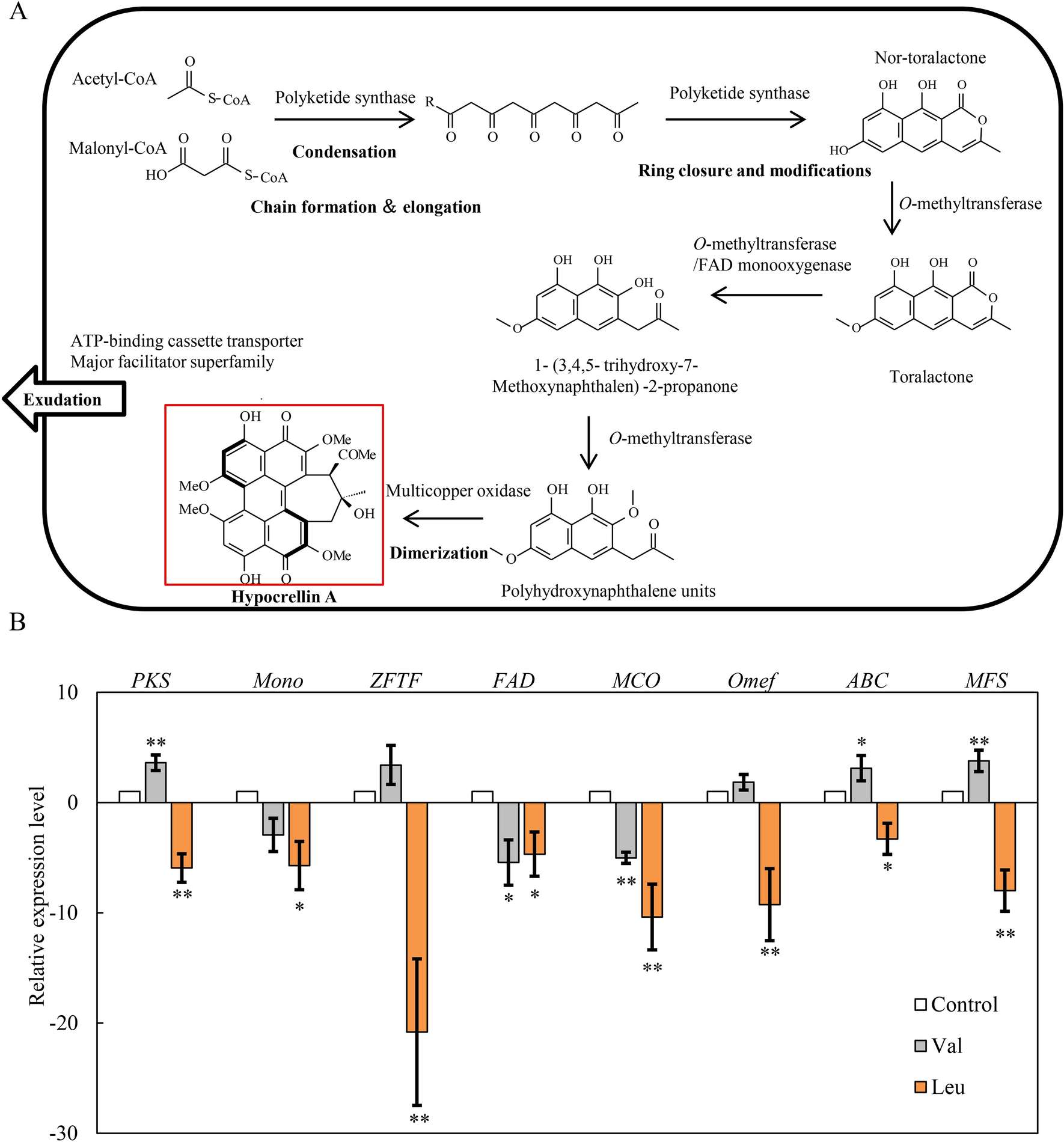 Fig. 7