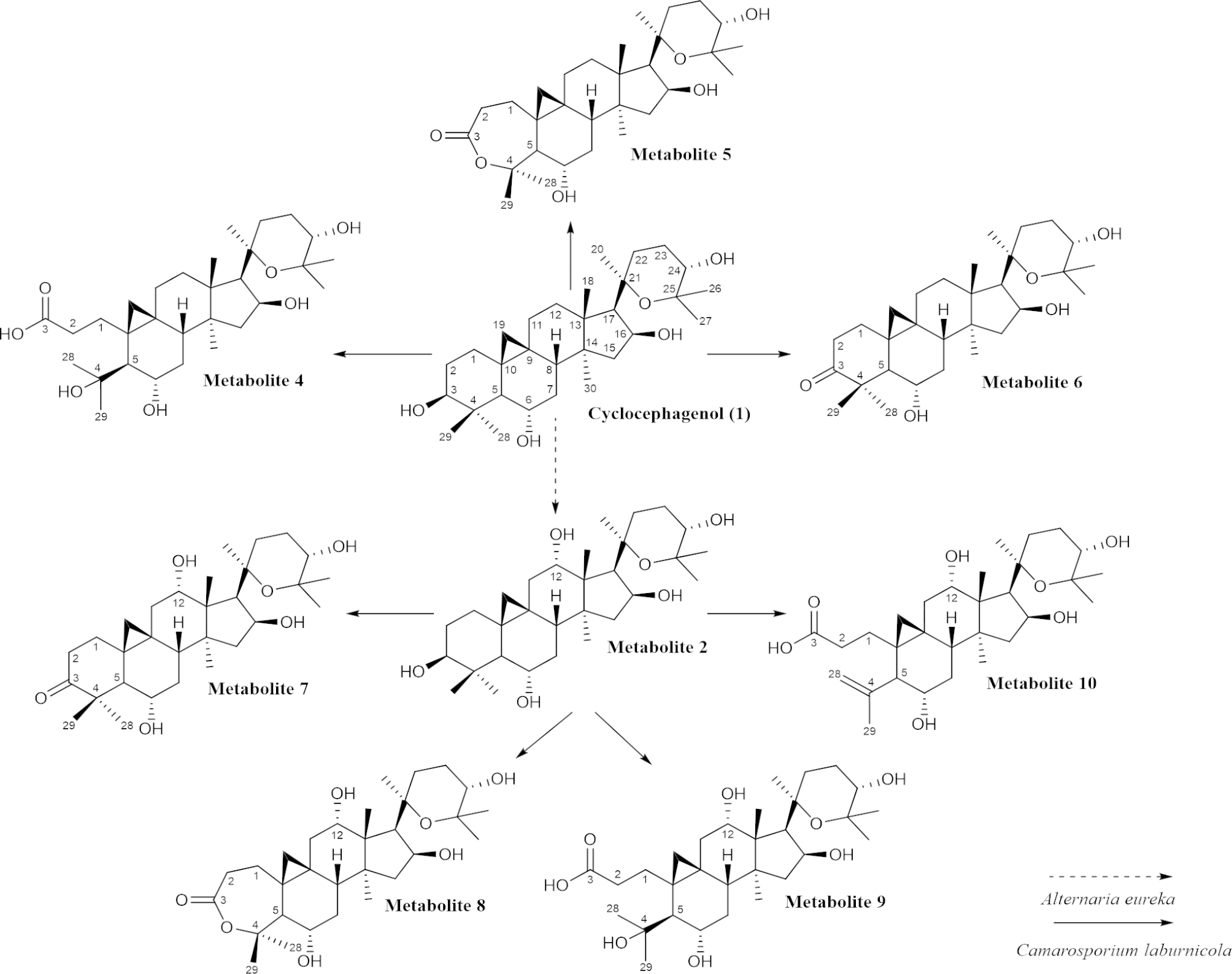 Fig. 2