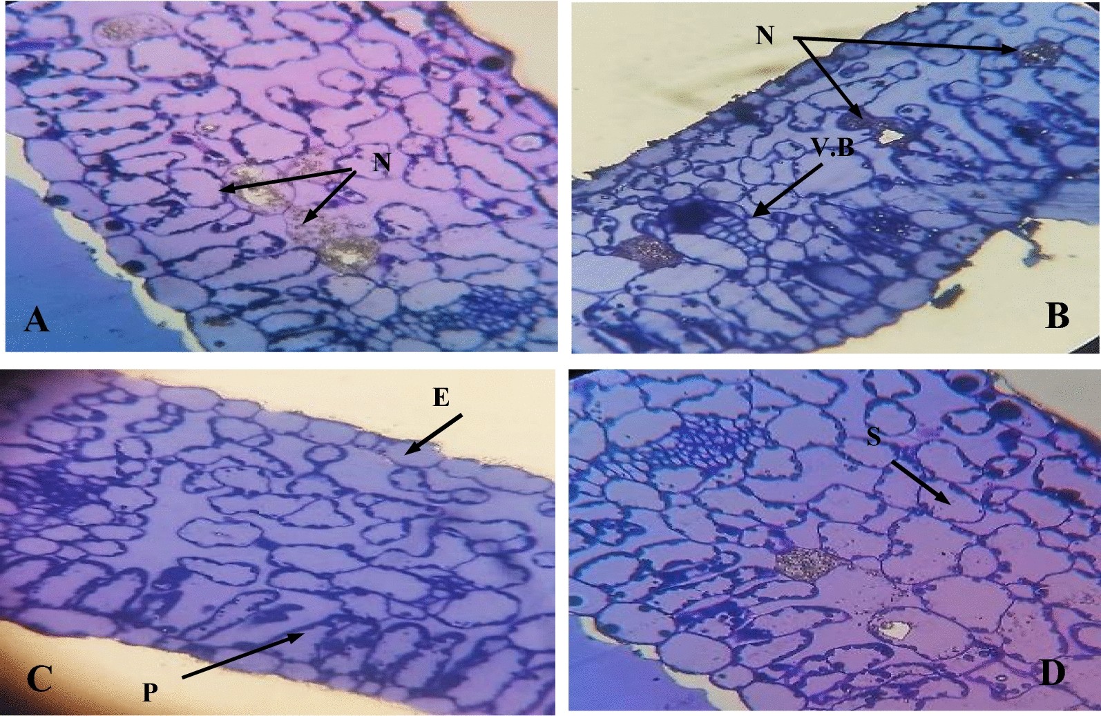 Fig. 9