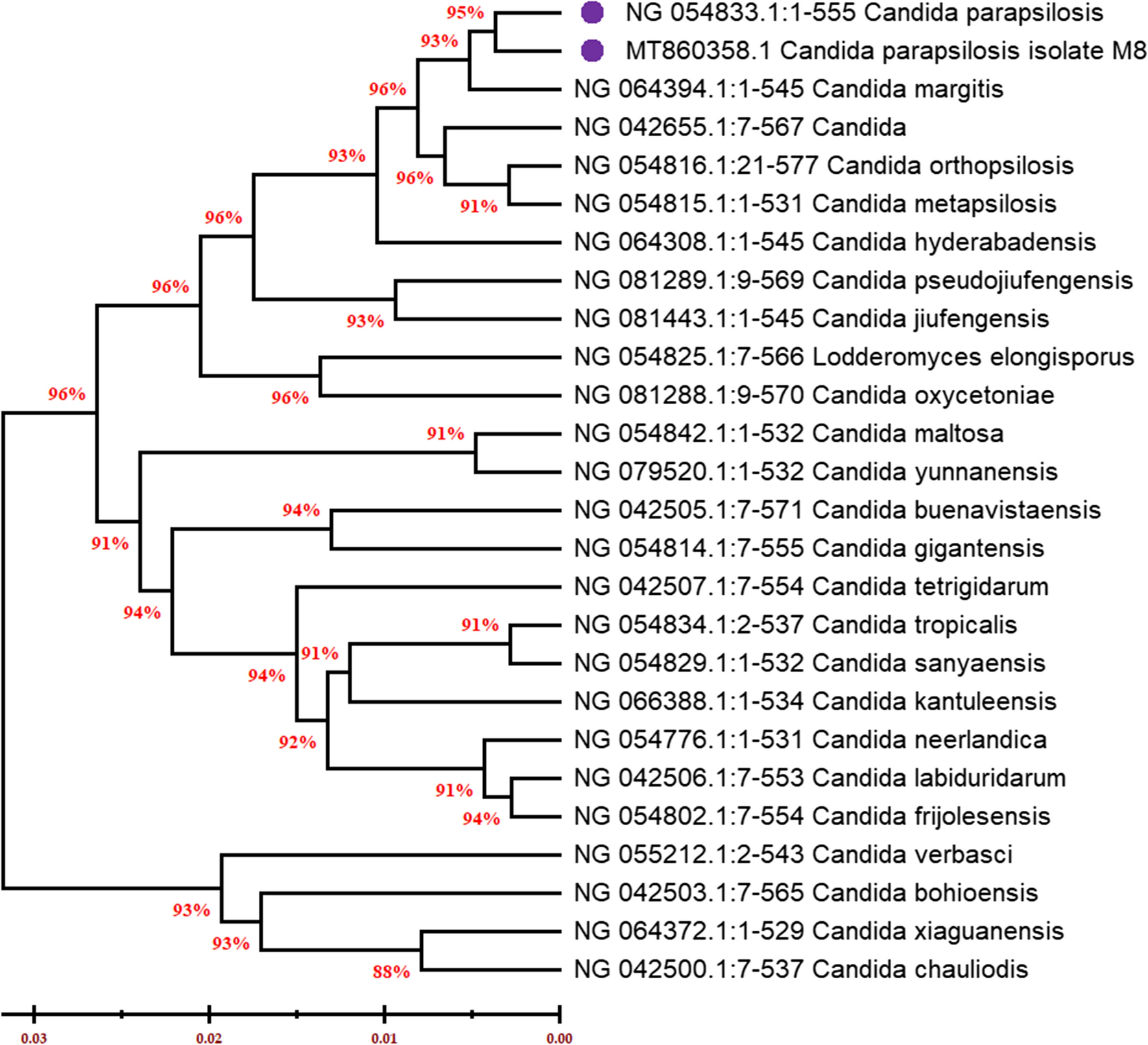 Fig. 2