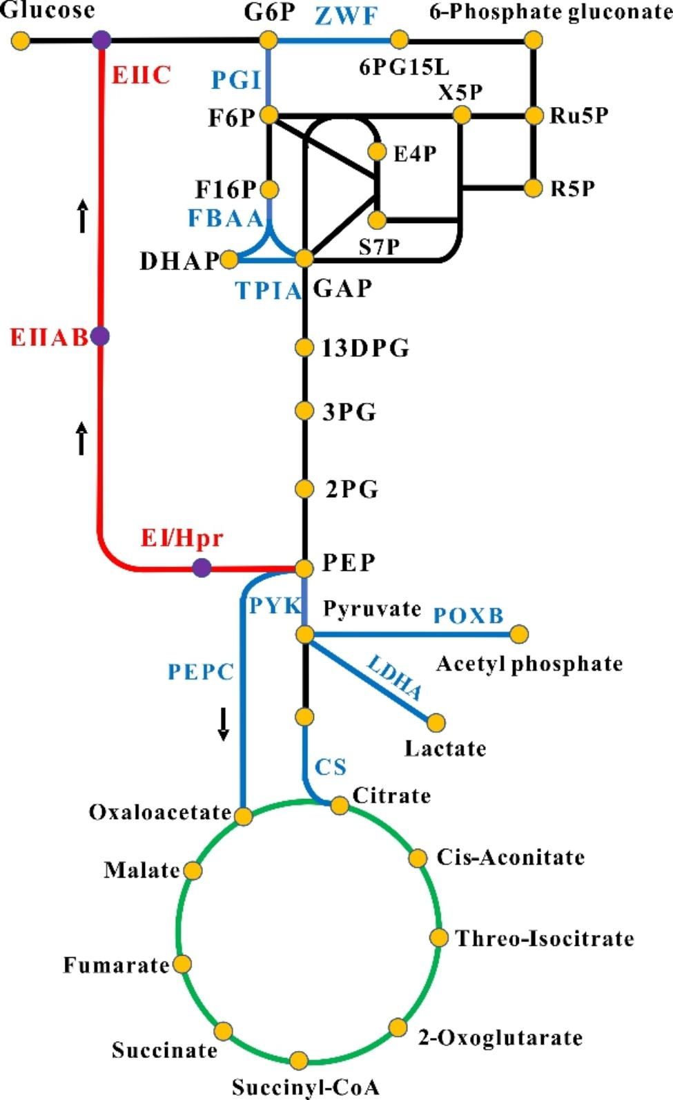 Fig. 2