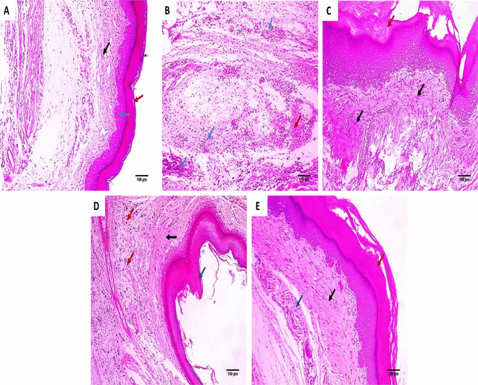 Fig. 4