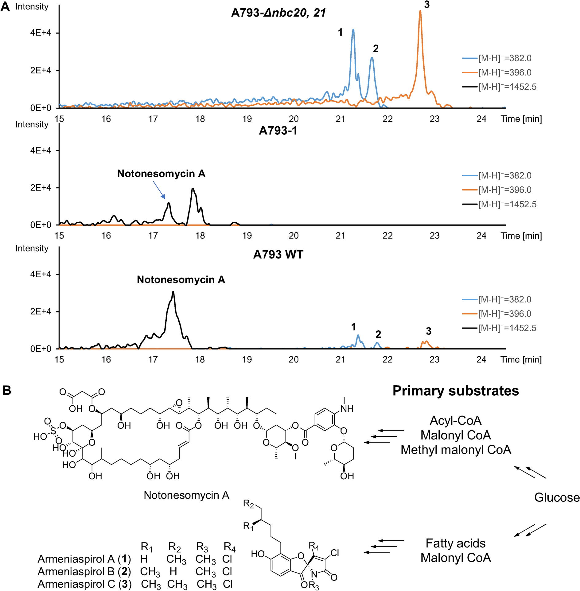 Fig. 2