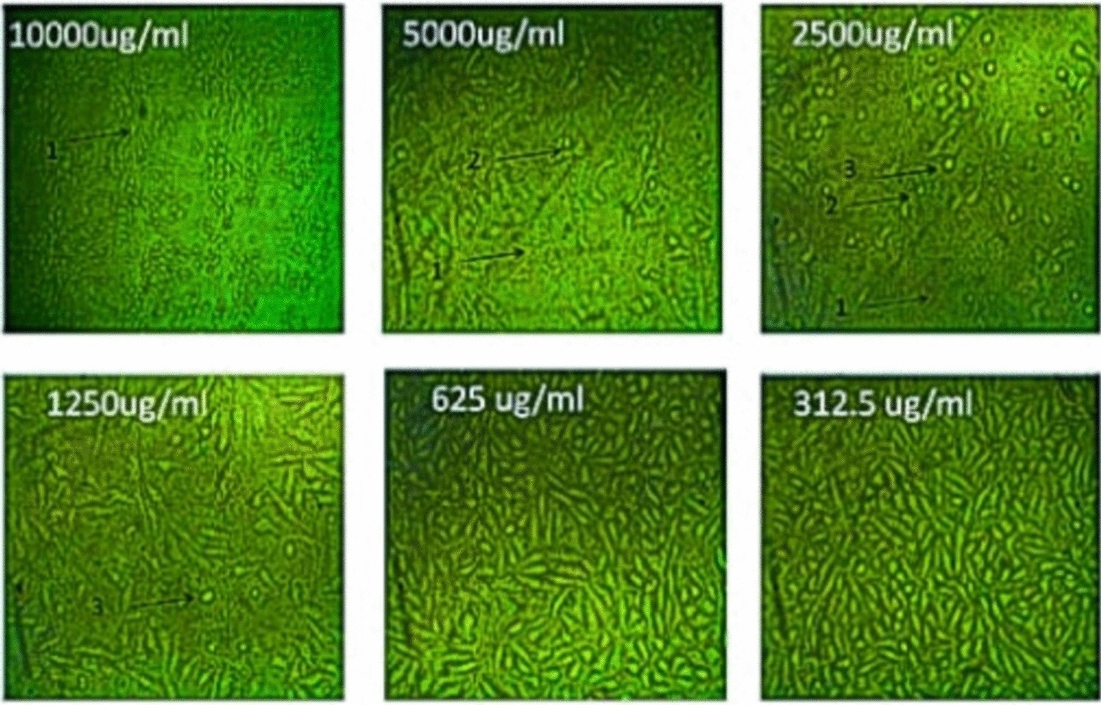 Fig. 12