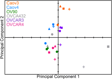 Fig. 6