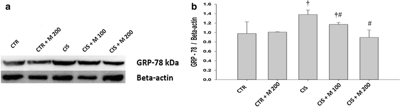 Fig. 5