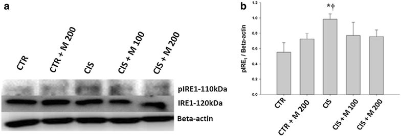 Fig. 6