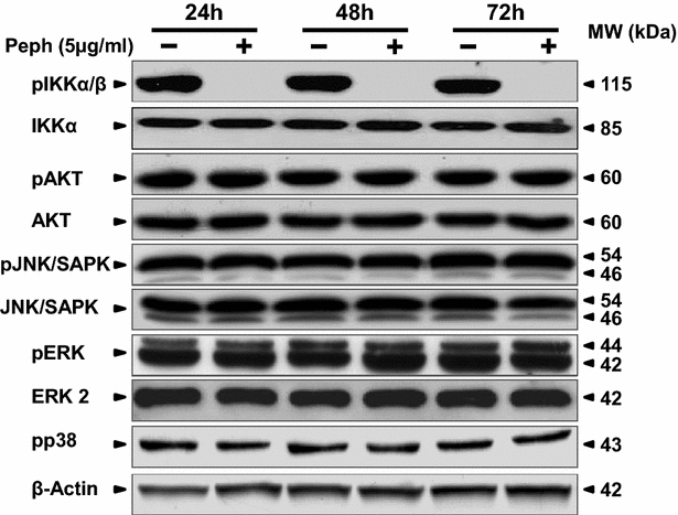 Fig. 4