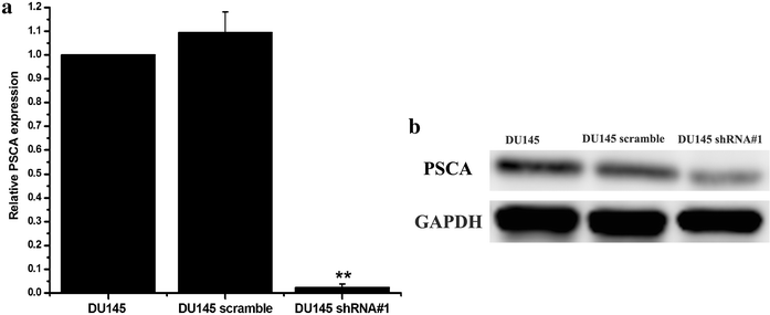 Fig. 10