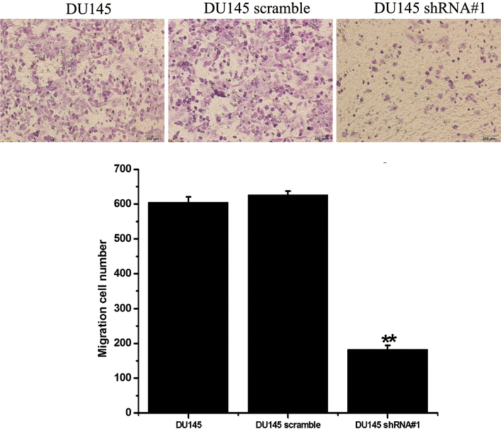 Fig. 6