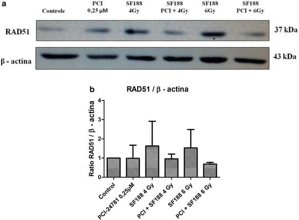 Fig. 10