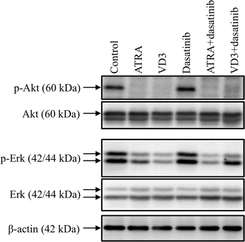 Fig. 5