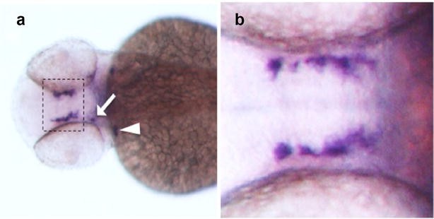 Fig. 3