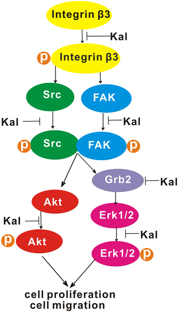 Fig. 10