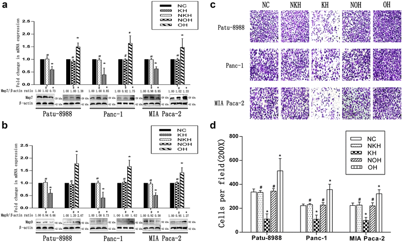 Fig. 4