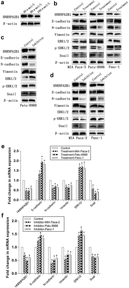 Fig. 7