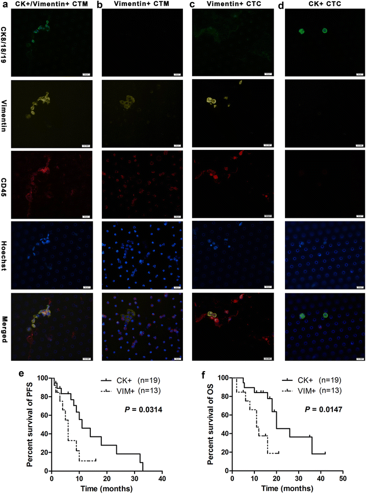 Fig. 4