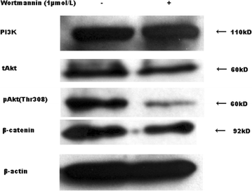 Fig. 5