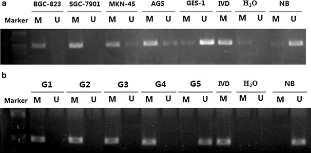 Fig. 5