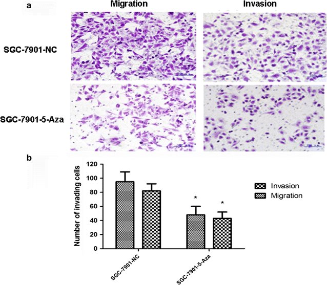 Fig. 6