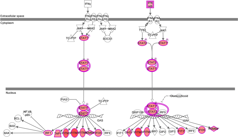 Fig. 3