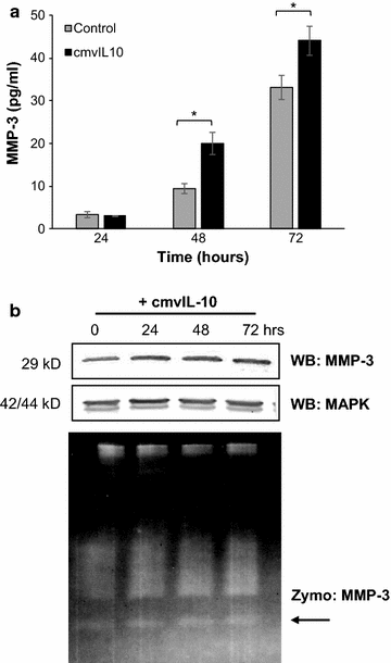 Fig. 4